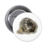 meerkats pins
