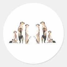 Meerkats Round Sticker