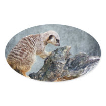 Meerkats Oval Sticker