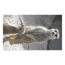 Meerkats Rectangle Sticker