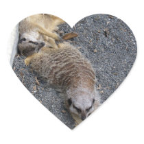 Meerkats Stickers