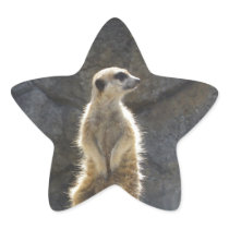 Meerkats Sticker