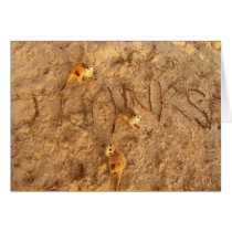 Meerkats Thanks - Card cards