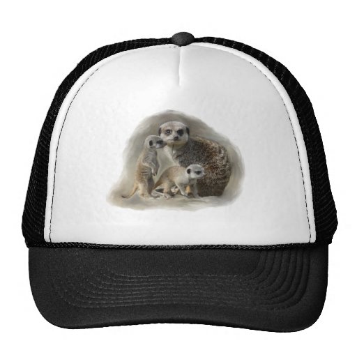 meerkats trucker hat