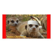 Meery Christmas Zaphod - Photo card photo cards