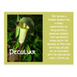 Meet Jack postcards