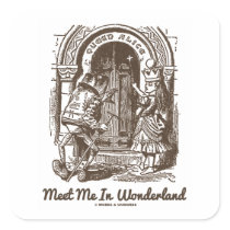 Meet Me In Wonderland Queen Alice Frog Doorway Square Stickers