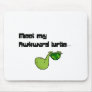 meet my turtle