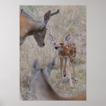 Meet The New Baby Posters