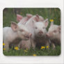 Meeting of the Three Little Pigs Mouse Pads
