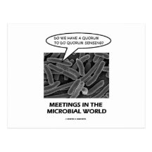 Meetings In The Microbial World (Quorum Sensing) Post Card