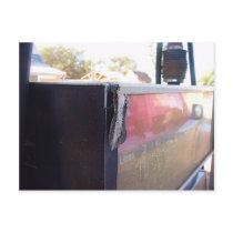 Mega Moth On Fuel Bowser At Overlander Roadhouse, Post Cards