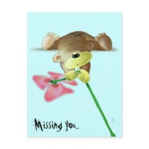 Megg: A cute teddy bear with a flower, missing you postcards