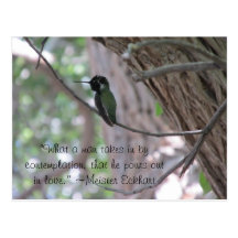 Meister Eckhart Contemplation Quote Hummingbird Post Cards