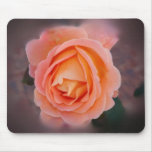 Melancholy Rose mousepads