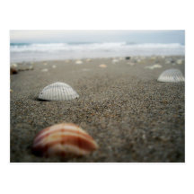 Melbourne beach, Florida Postcards