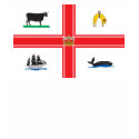 Melbourne City Flag t-shirts