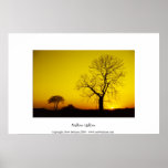 Mellow Yellow posters