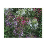 Melody of Flowers