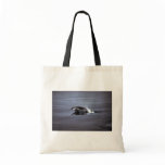 Melon-headed whale bags
