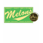 MELONS - T- Shirt