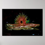 Melting Gerber Daisy posters