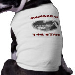 MEMBER OF THE STAFF ~ EZ TO CUSTOMIZE PET T-SHIRT pet clothing