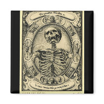 Memento Mori Magnets