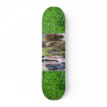 Menagerie Skate Deck