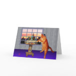 menorah cat cards