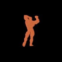 Mens Bodybuilding Pose embroidered shirts
