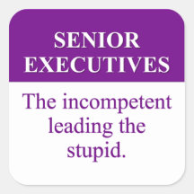 Mentoring Role of Senior Executives (3) Sticker