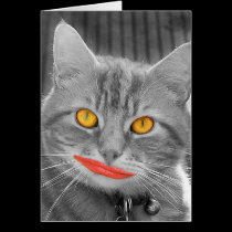 Meow cards