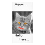 Meow, photo cards