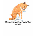 meow, Silly human! Cats don't say "meow" they s... t-shirts