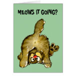 Meows it Going? Cartoon Cat Greeting Card