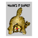 Meow's it Going Cartoon Cat Postcard