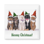 "Meowy Christmas!" Cats In Hats