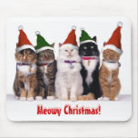 "Meowy Christmas!" Cats In Hats