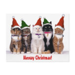 "Meowy Christmas!" Cats postcards