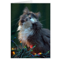 Meowy Christmas Holiday Cat Card