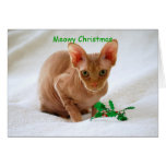Meowy Christmas Sphinx Cat Card