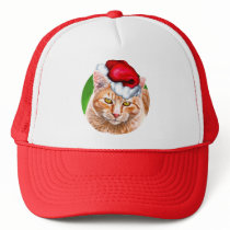 Meowy Christmas Tabby Mesh Hats