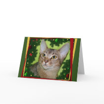 Meowy KissMouse Cards
