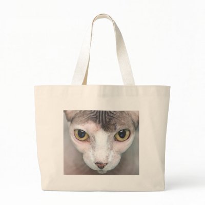 Mephisto Canvas Bag by REDINARD
