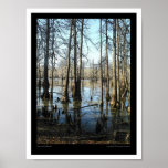 Merchant's Millpond posters