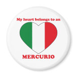 Mercurio Refrigerator Magnets