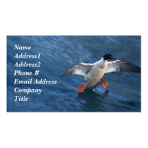 Merganser Duck Business Card