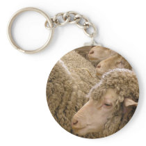 Merino sheep keychains