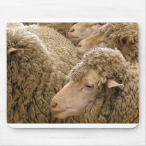 Merino sheep mousepads